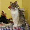 Отзыв от Галя Глебова